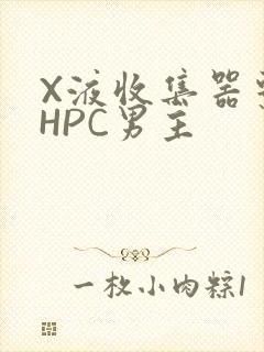 X液收集器系统HPC男主