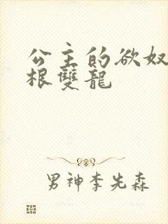 公主的欲奴h四根双龙