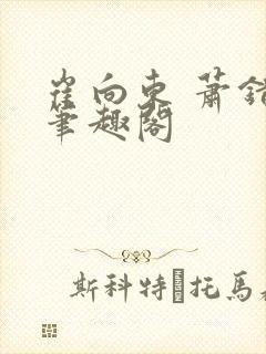 崔向东 萧错 笔趣阁封面