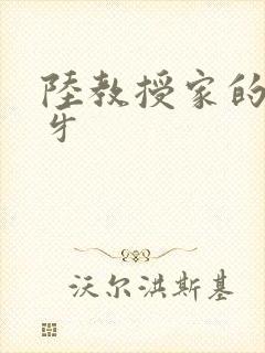 陆教授家的小月牙封面