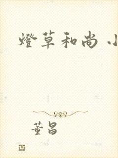 灯草和尚 小说封面