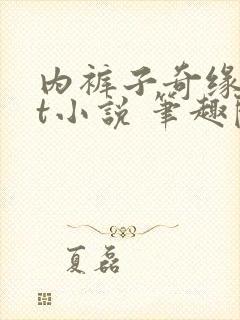 内裤子奇缘txt小说 笔趣阁