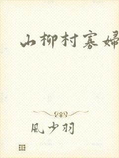 山柳村寡妇情史