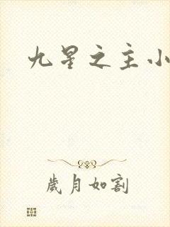 九星之主小说