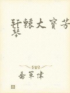 轩辕大宝芳菲雅琴