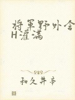 将军野外含公主H灌满封面