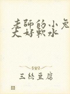 老师的小兔子好大好软水