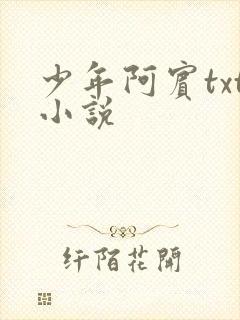 少年阿宾txt小说