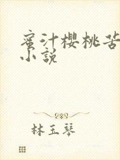 蜜汁樱桃苦咖啡小说