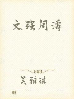文强周涛