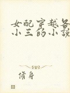 女配穿越各个做小三的小说封面