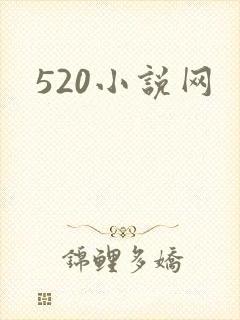 520小说网