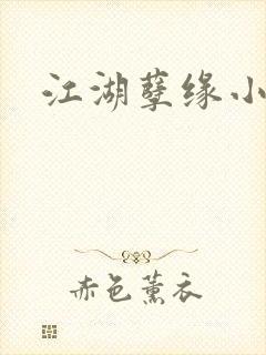 江湖孽缘小说封面