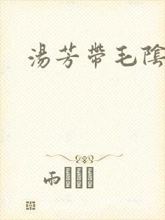 汤芳带毛阴部封面