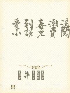 爱到春潮滚滚来小说免费阅读