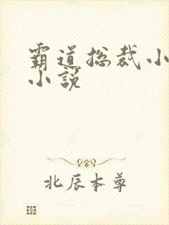 霸道总裁小娇妻小说封面