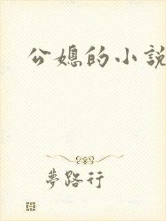 公媳的小说