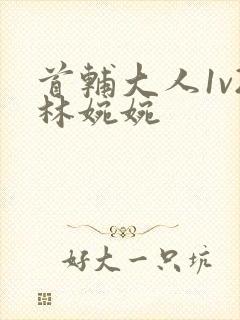 首辅大人1v2林婉婉封面