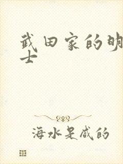 武田家的明国武士