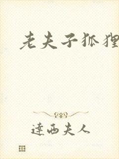 老夫子狐狸仙封面