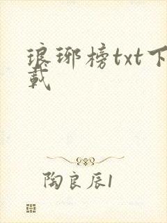 琅琊榜txt下载封面
