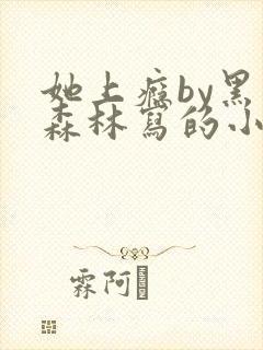 她上瘾by黑暗森林写的小说免费阅读无弹窗