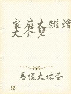 家庭大杂烩小说大全儿