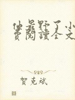 他最野了小说免费阅读全文