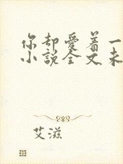 你却爱着一个他小说全文未删减免费封面