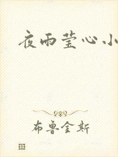 夜雨莹心小说