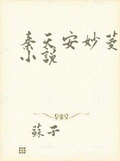 秦天安妙菱修仙小说