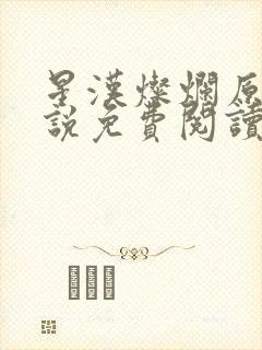 星汉灿烂原著小说免费阅读