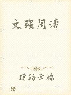 文强周涛封面