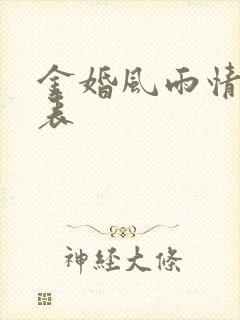 金婚风雨情演员表