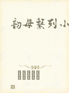 韵母系列小说封面