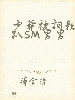 少爷被调教室跪趴SM男男封面