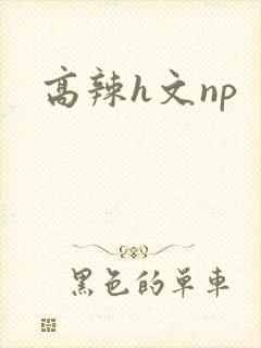 高辣h文np封面