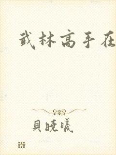 武林高手在异界封面