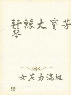 轩辕大宝芳菲雅琴封面