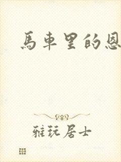 马车里的恩爱封面