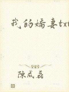 我的娇妻txt