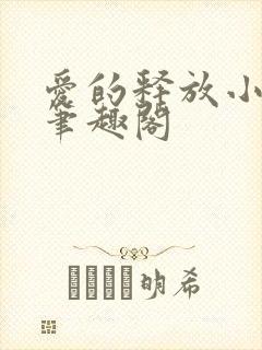 爱的释放小说 笔趣阁