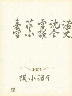 秦菲雪沈浩秦菲雪小说全文免费阅读求书