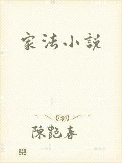 家法小说封面