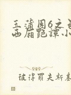 玉蒲团6之色情西厢艳谭小说封面