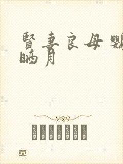 贤妻良母 鹦鹉晒月封面