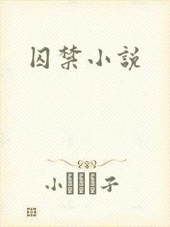 囚禁小说
