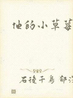 他的小草莓封面