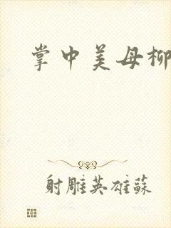 掌中美母柳玉茹封面