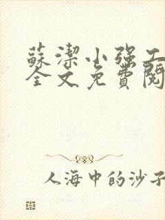 苏洁小强工地情全文免费阅读